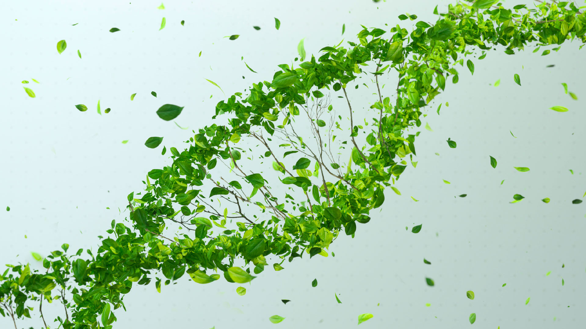 UCSLP_esp_bioetica_2